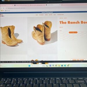 Hey Gang Brand New  Ranch Boots